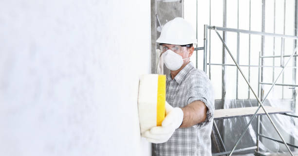 Mold Remediation for Rental Properties in Richboro, PA